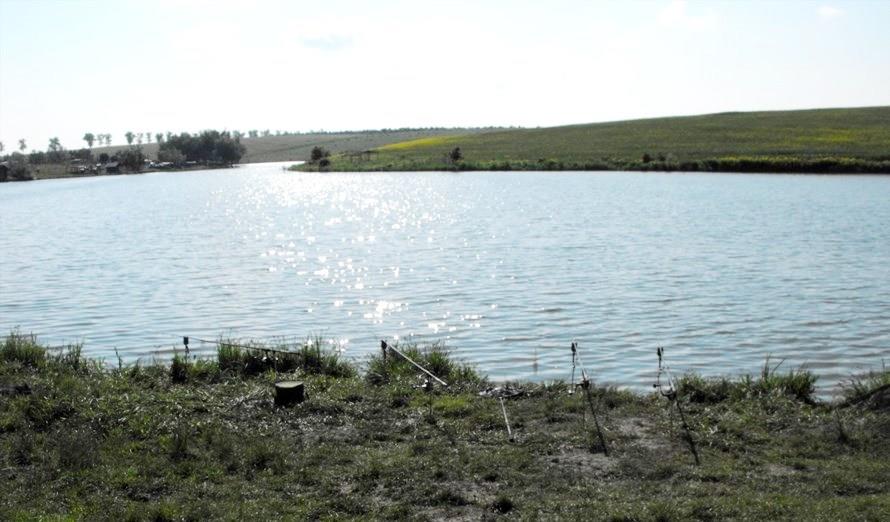 Greaca 9-11 mai Cupa Tarom ed.a 6-a - 7-2.jpg